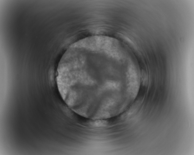 X0000094200670200711091220