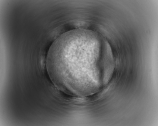 X0000094200671200711091220