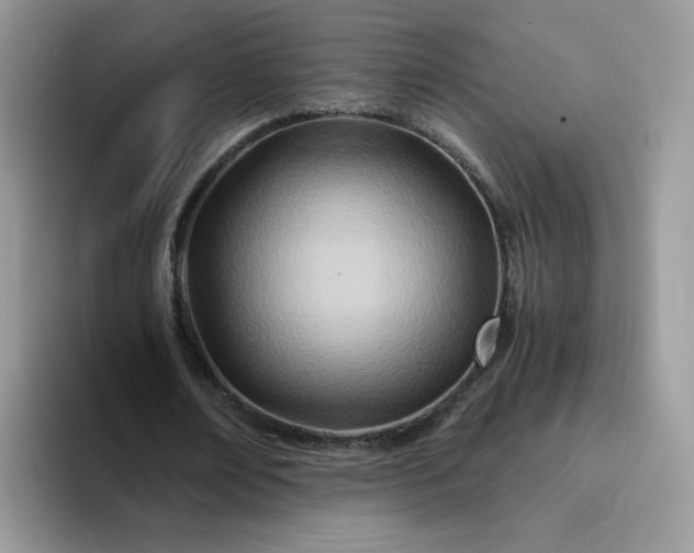 X0000094200674200711091219