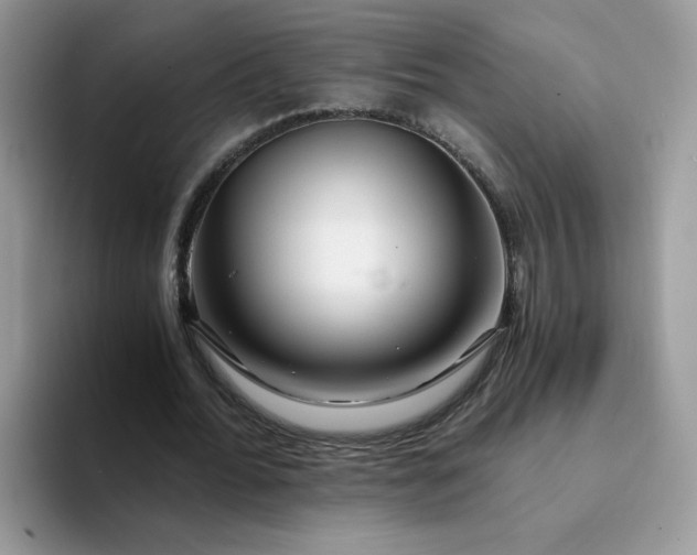 X0000094200676200711091219