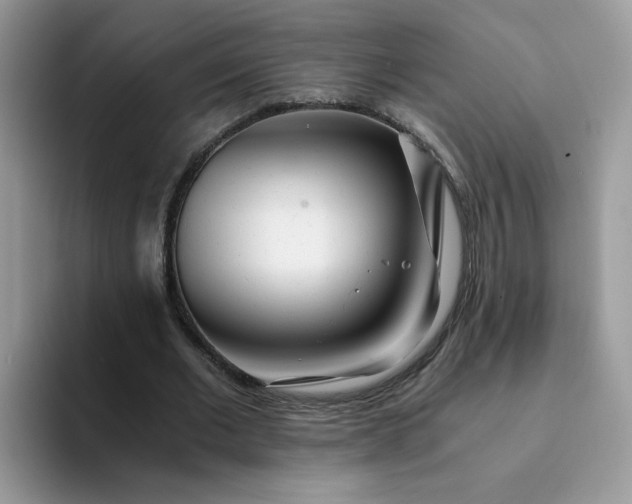 X0000094200677200711091219