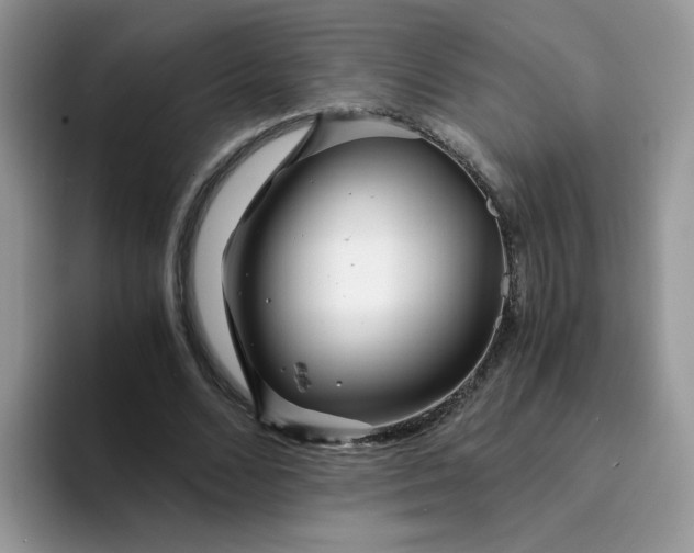 X0000094200680200711091219