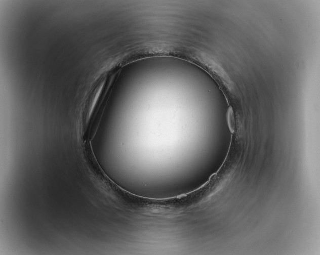 X0000094200681200711091219