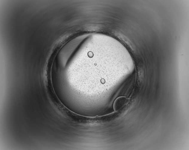 X0000094200682200711091219