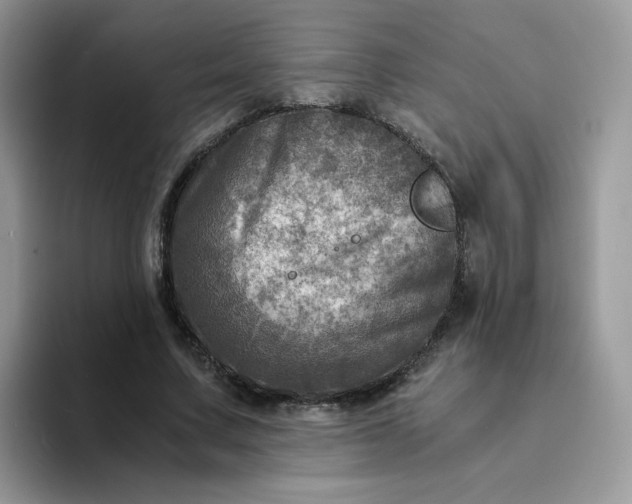 X0000094200683200711091219