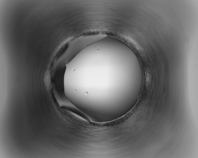 X0000094200684200711091219