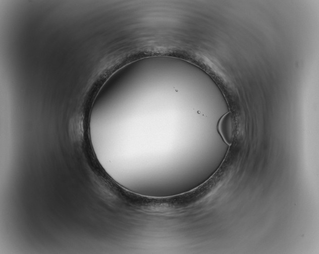 X0000094200685200711091219