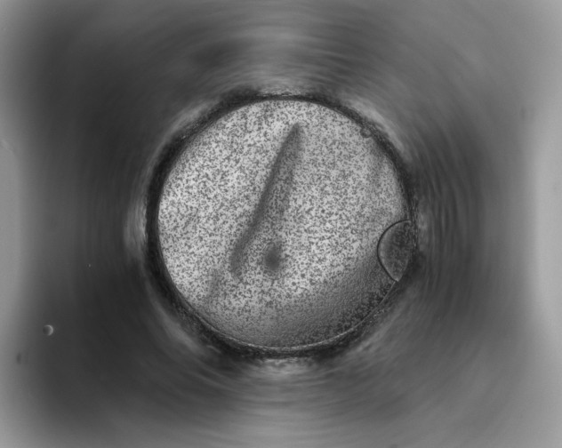 X0000094200686200711091219