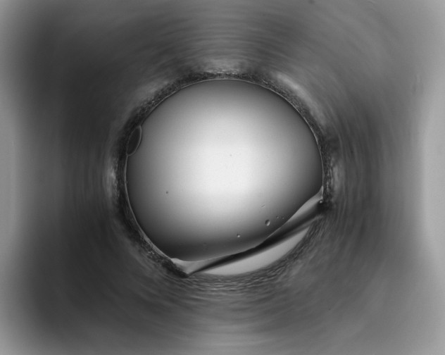 X0000094200688200711091219