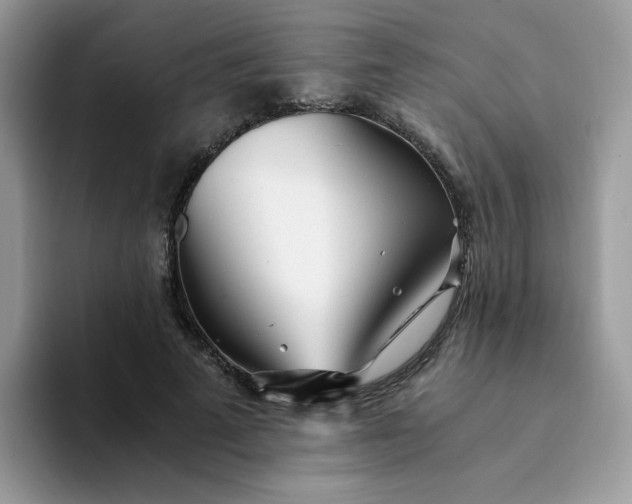 X0000094200689200711091219