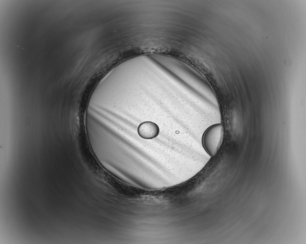 X0000094200690200711091219