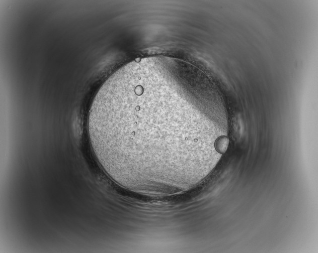 X0000094200691200711091219