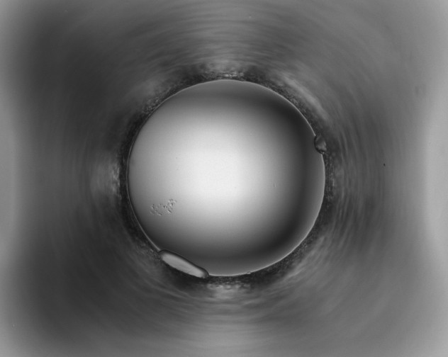 X0000094200693200711091219