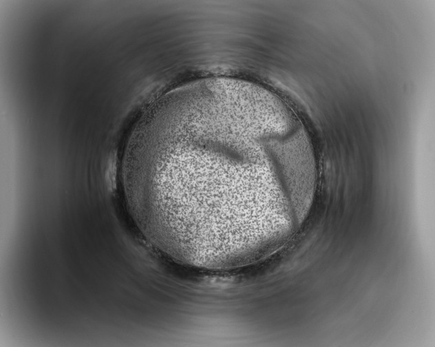 X0000094200694200711091219