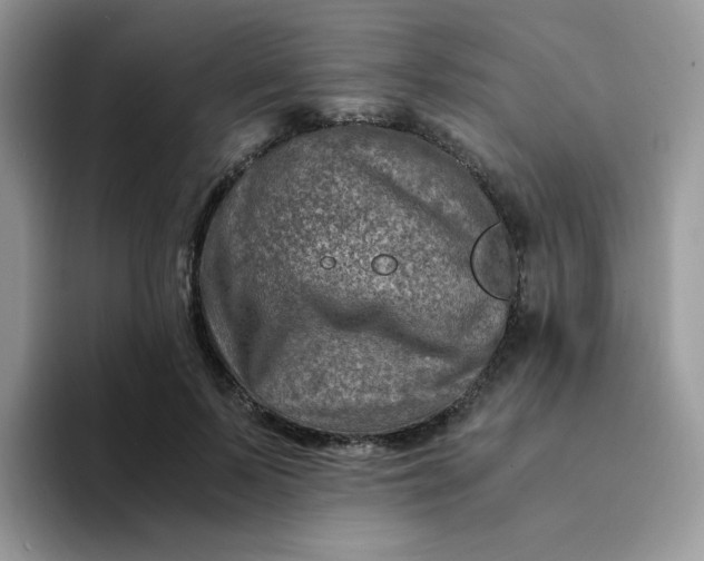 X0000094200695200711091219