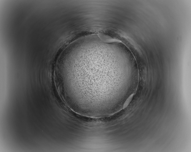 X0000094200696200711091219