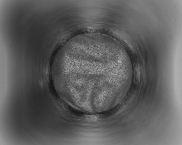 X0000094200698200711091219