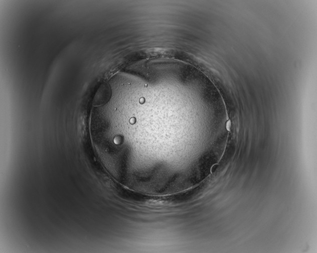 X0000094200699200711091219