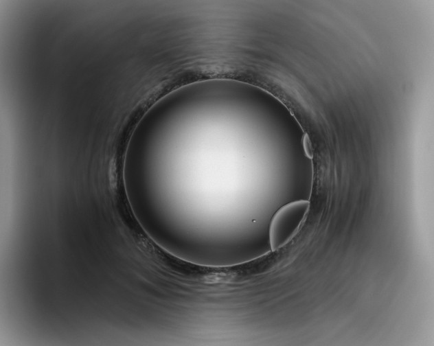 X0000094200700200711091219