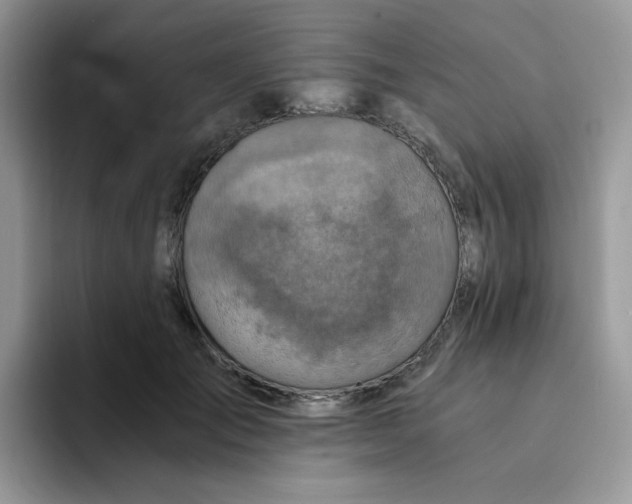 X0000094200701200711091219