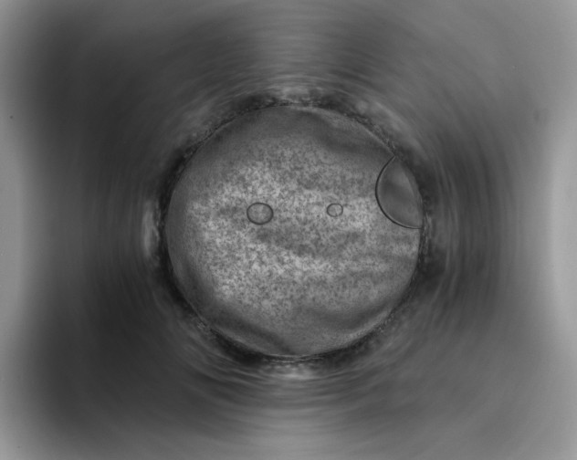 X0000094200702200711091219