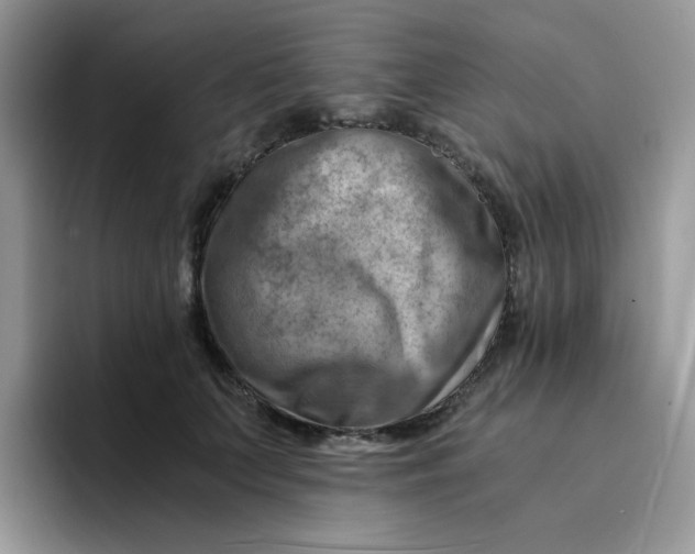 X0000094200703200711091219