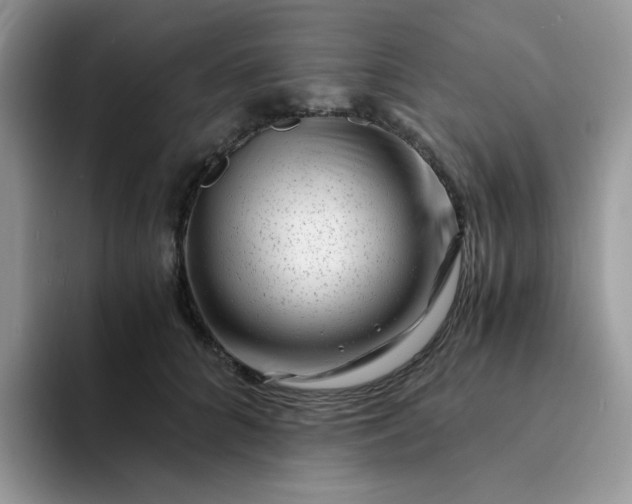 X0000094200704200711091219