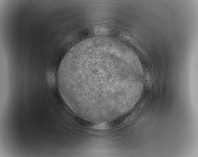 X0000094200705200711091219