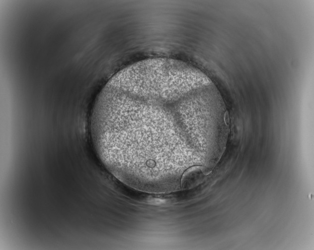 X0000094200706200711091219