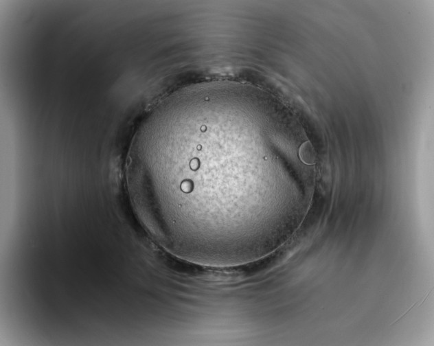 X0000094200707200711091219