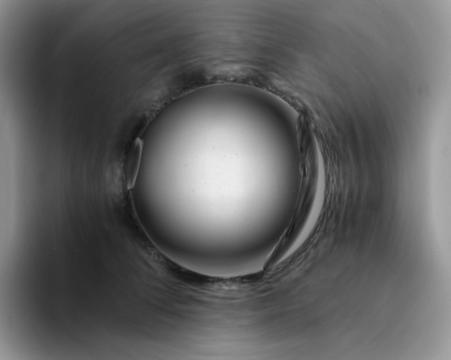 X0000094200708200711091219