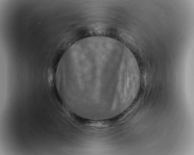 X0000094200709200711091219