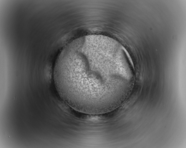 X0000094200710200711091219