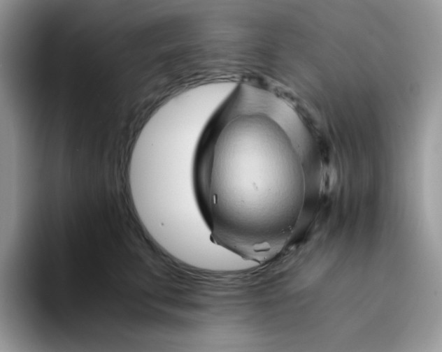 X0000094200711200711091219