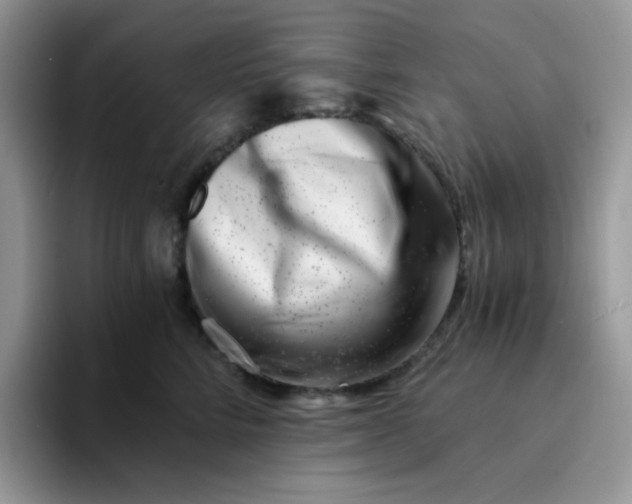 X0000094200712200711091219