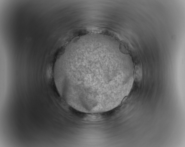 X0000094200713200711091219