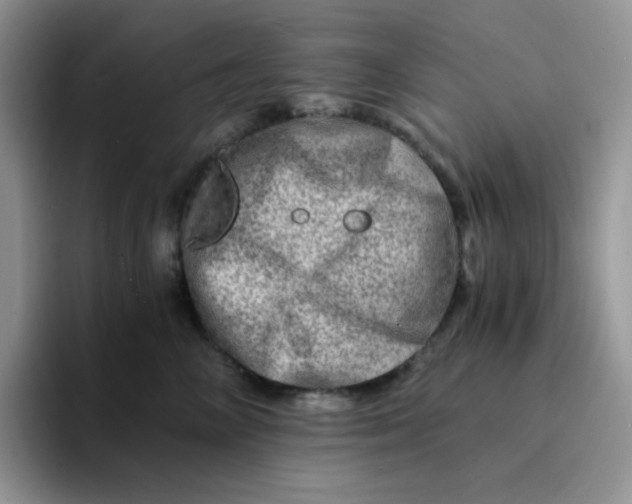 X0000094200714200711091219