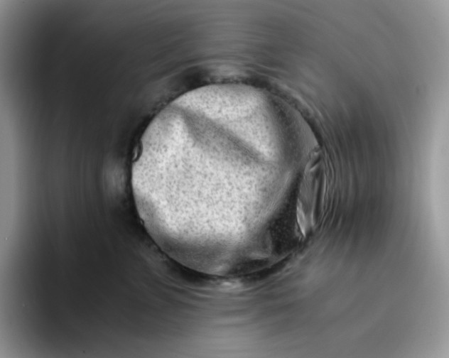 X0000094200715200711091219