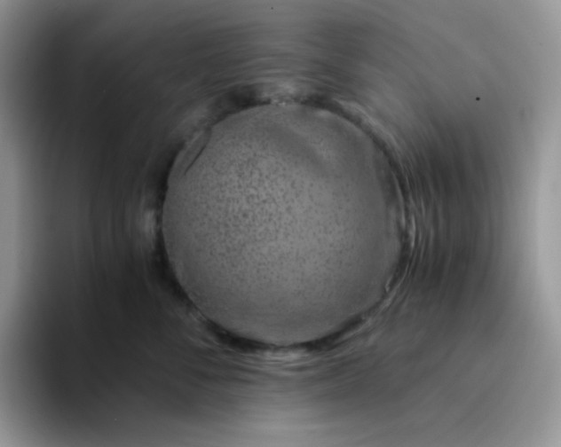 X0000094200716200711091219