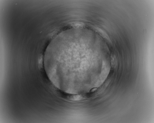 X0000094200717200711091219