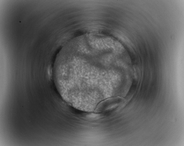 X0000094200718200711091219