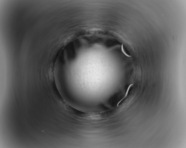 X0000094200719200711091219