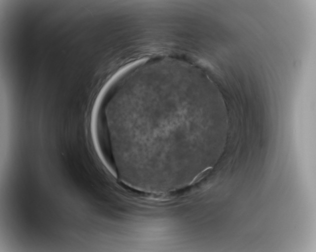 X0000094200720200711091219