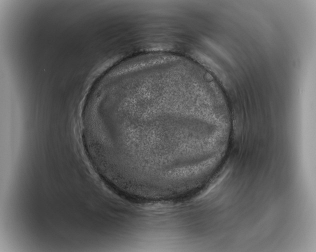 X0000094200721200711091218