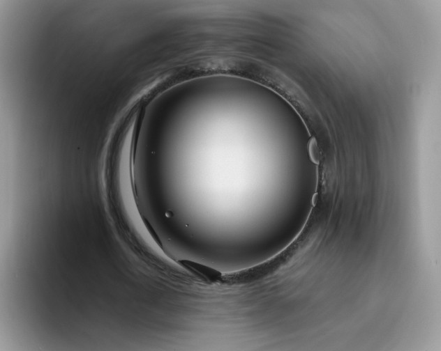 X0000094200722200711091218