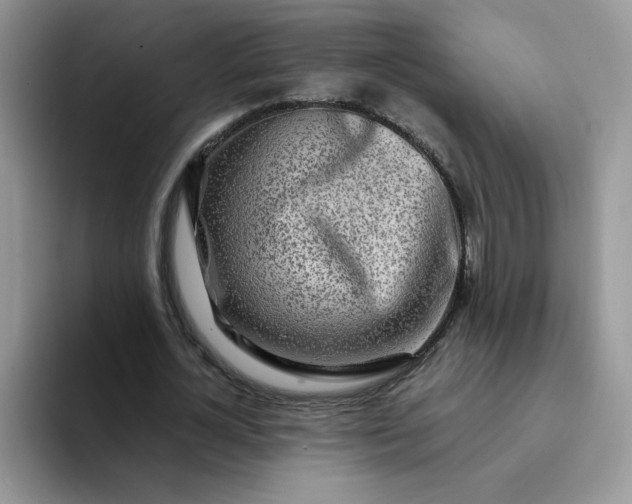 X0000094200724200711091218