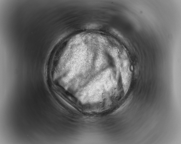 X0000094200725200711091218