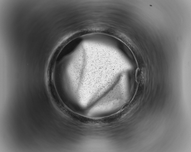 X0000094200726200711091218