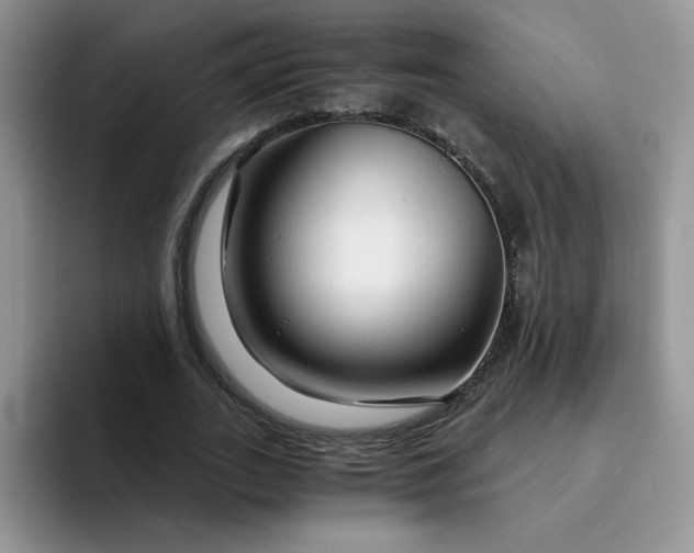 X0000094200727200711091218