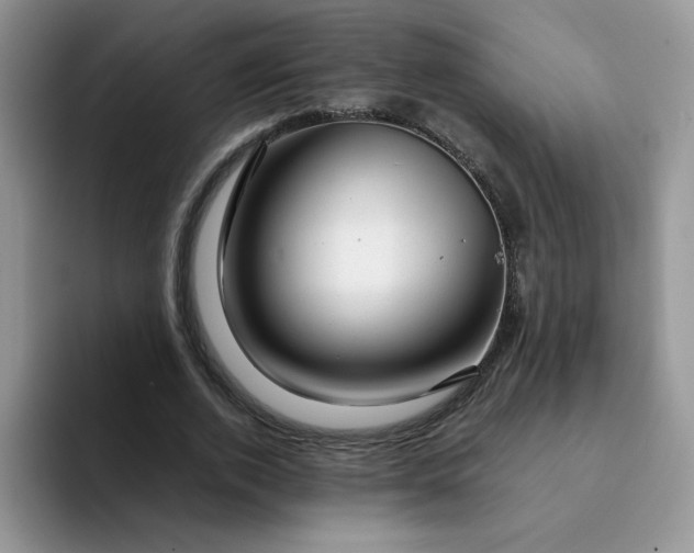 X0000094200728200711091218